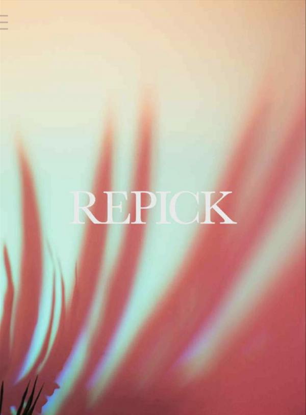 Repick-Special-with-Earth-02-Video-solo
